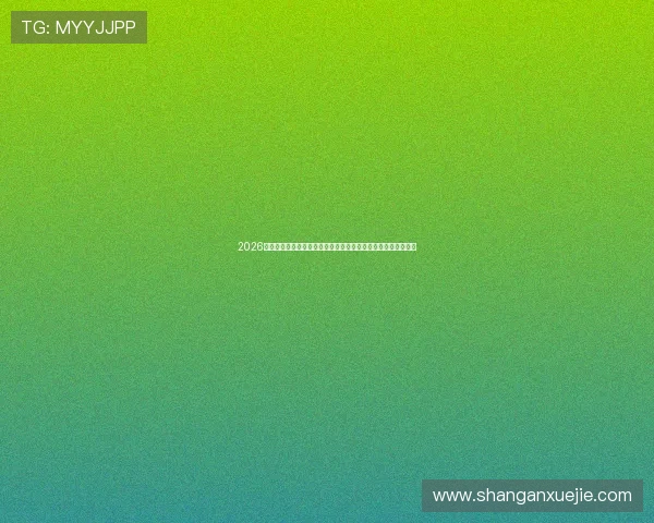 2026年世界杯比利时对阵伊朗比赛中文解说全程回顾与精彩瞬间分析